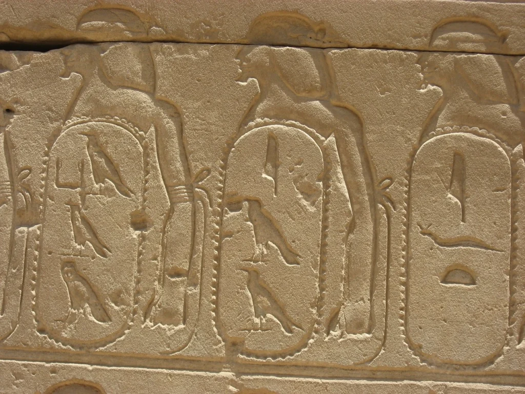 Egyptian Ornithology